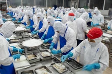 [Vídeo] Exportaciones acuícolas de Vietnam baten récord al alcanzar 11,3 mil millones de dólares 
