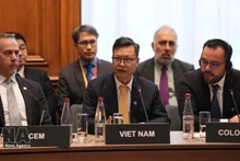 El embajador de Vietnam en Francia, Trinh Duc Hai, pronuncia un discurso en la reunión. (Foto: VNA)