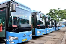 Autobuses eléctricos en Ciudad Ho Chi Minh. (Foto: VNA)