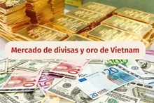 Infografía: Mercado de divisas y oro de Vietnam -10 de junio de 2025 