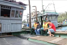 Foto ilustrativa. (Foto: VNA)