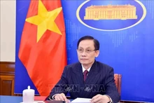 El ministro de Relaciones Exteriores de Vietnam, Le Hoai Trung. (Foto: VNA)