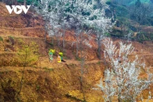 Ha Giang: una balada entre rocas y primavera eterna