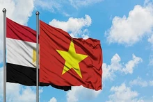 Relación de amistad tradicional entre Vietnam y Egipto