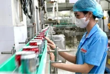 La producción en la empresa Bidrico. (Foto: sggp.org.vn)