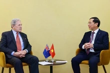 El vicepremier y canciller de Vietnam, Bui Thanh Son, (derecha) y el ministro de Relaciones Exteriores de Nueva Zelanda, Winston Peters. (Foto: VNA)