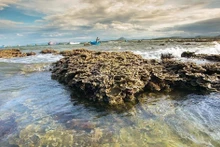 El hermoso ecosistema coralino natural de Hon Yen, provincia de Phu Yen. (Foto: VNA)