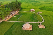 Turismo entre arrozales: una experiencia rural en Quang Binh