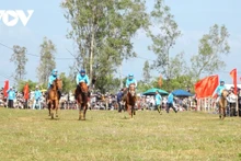 Algunos festivales tradicionales de carreras de caballos en Vietnam