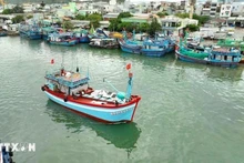 Vietnam lucha contra pesca ilegal. (Foto: VNA)