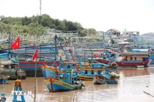 Foto ilustrativa. (Foto: VNA)