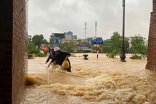 Foto de ilustración. (Fuente: Nhan Dan)