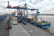 Foto de ilustración. (Foto: VNA)