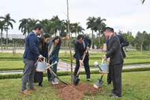 Delegados plantan árboles samanea en el Parque de la Paz. (Foto: Embajada de Colombia en Vietnam)