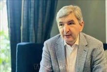 El embajador lituano en Singapur y concurrente en Vietnam, Darius Gaidys. (Foto: VNA)