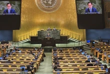 Foto de ilustración. (Fuente: VNA)