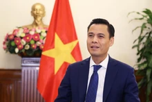 El viceministro vietnamita de Relaciones Exteriores Dang Hoang Giang. (Foto: Cancillería de Vietnam)
