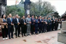 Vietnamitas en el extranjero visitan y ofrecen incienso en el complejo de templos del Rey Dinh y el Rey Le, en la provincia de Ninh Binh. (Foto: VNA)