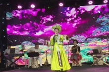 Una de las actuaciones en el evento. (Foto: VNA)
