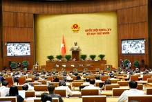 En la reunión. (Foto: VNA)