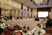 Panorama del evento. (Foto: VNA)