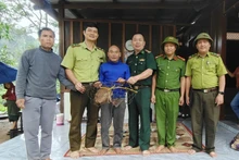 Personas entregan voluntariamente un macaco cola de cerdo del grupo IIB a las autoridades. (Foto: VNA)