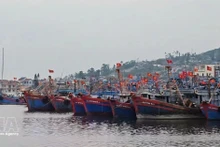Una vista del puerto pesquero de Lach Bang, Thanh Hoa. (Foto: VNA)
