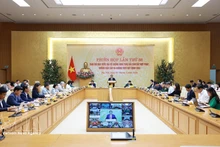 Panorama de la reunión. (Foto: VNA)