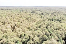 [Video] Protegen la biodiversidad en la Reserva Natural de Lung Ngoc Hoang