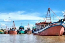 En el puerto pesquero de Ganh Hao, en Ca Mau. (Foto: VNA)