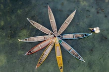 Las barcas de madera permiten a los visitantes desplazarse con facilidad y explorar la rica biodiversidad del ecosistema local. (Foto: VNA)
