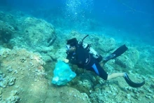 En la isla de Nhon Hai, en la provincia de Binh Dinh, se organizan actividades de limpieza submarina para retirar plásticos del fondo marino. (Foto: VNA)