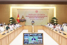 Panorama de la cita. (Foto: VNA)