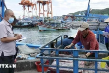 Las autoridades supervisan el proceso de llegada del pescado al puerto. (Foto: VNA)