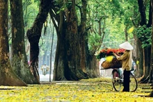 Foto ilustrativa. (Fuente: hanoimoi.vn) 
