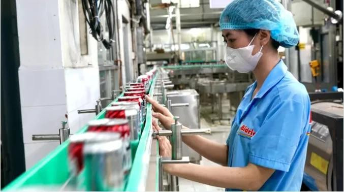 La producción en la empresa Bidrico. (Foto: sggp.org.vn)