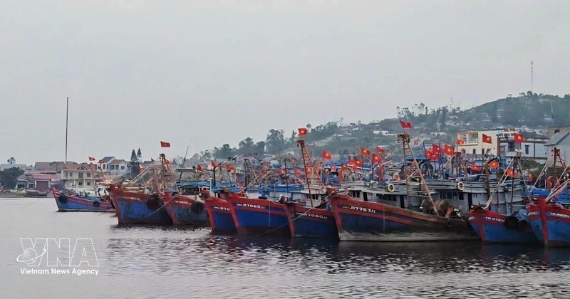 Una vista del puerto pesquero de Lach Bang, Thanh Hoa. (Foto: VNA)