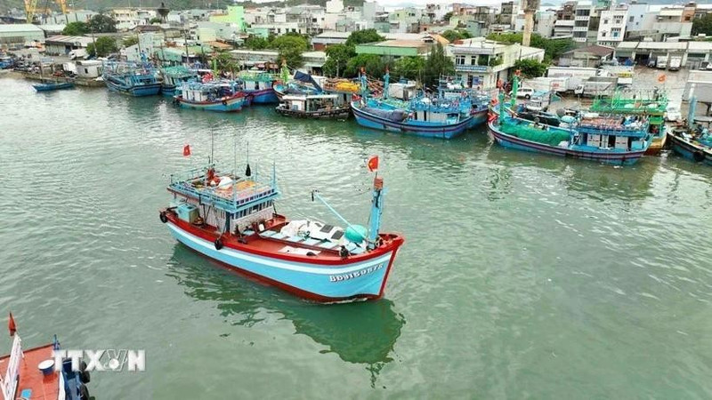 Vietnam lucha contra pesca ilegal. (Foto: VNA)