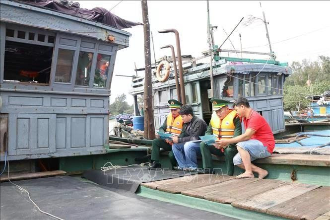 Foto ilustrativa. (Foto: VNA)