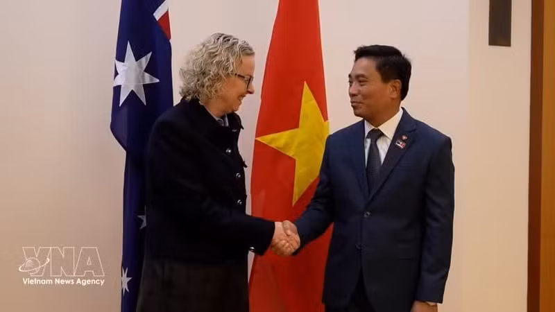 Nguyen Doan Anh, vicepresidente de la Asamblea Nacional de Vietnam, se reúne con Sharon Claydon, vicepresidenta de la Cámara de Representantes de Australia y titular del Grupo Parlamentario de Amistad Australia-Vietnam. (Foto: VNA)