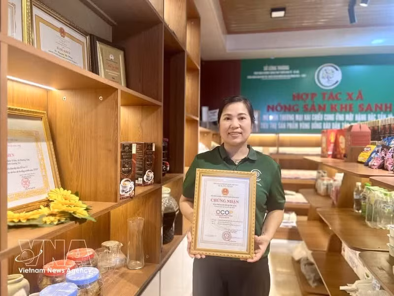 El producto de café 100% arábica de Khe Sanh, elaborado por la Cooperativa de Productos Agrícolas homónima, ha sido reconocido como producto OCOP de cinco estrellas a nivel nacional, contribuyendo a elevar y consolidar la marca del café local. (Foto: VNA)