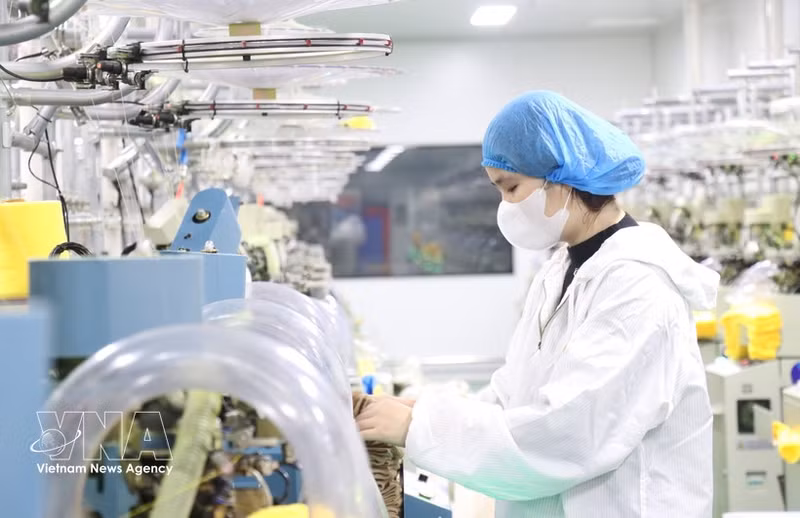Las empresas de inversión extranjera directa adoptan gradualmente modelos de producción modernos para mejorar la productividad y la calidad de los productos, incrementando su competitividad en el mercado internacional. (Foto: VNA)