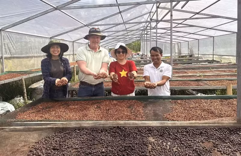 Khe Sanh desarrolla actualmente el turismo de experiencias vinculado a la región cafetalera de arábica. Las colinas de café cubiertas de flores blancas en la temporada de floración, los cafetales cargados de frutos maduros y los vestigios históricos a lo largo de la Ruta 9-Khe Sanh conforman un producto turístico con identidad propia. (Foto: VNA)