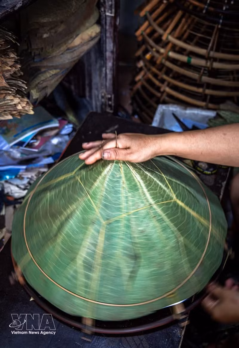 Cada capa de hojas de loto es colocada cuidadosamente por los artesanos sobre la estructura del sombrero. Dos capas de hojas superpuestas crean el grosor y la resistencia necesarios para el producto. Foto: VNA)