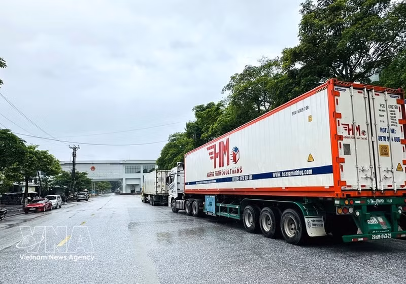 Un convoy de camiones portacontenedores que transportan mercancías realizan los trámites aduaneros en el puesto fronterizo internacional de Thanh Thuy (Tuyen Quang). (Foto: VNA)