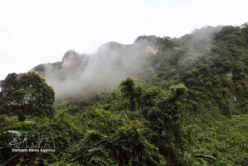 En el Parque Nacional Phong Nha-Ke Bang. (Foto: VNA)