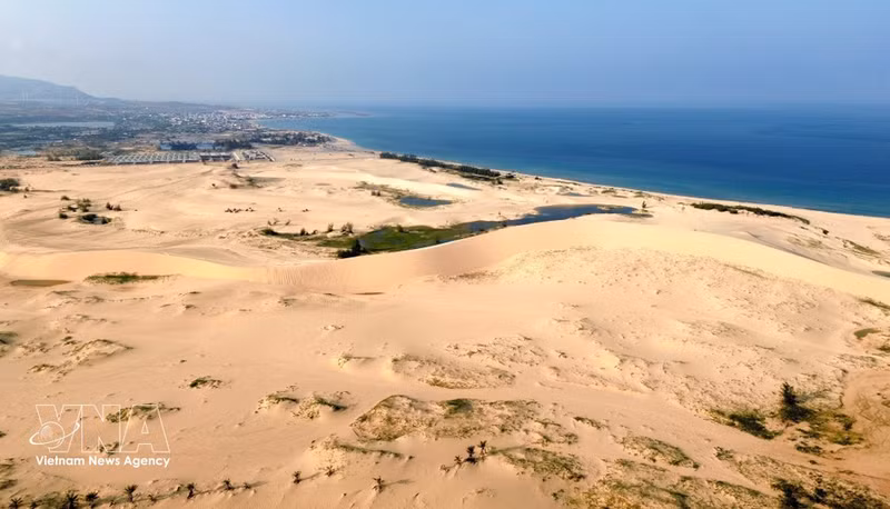 Las dunas de Mui Dinh se extienden a lo largo de la costa de Phuoc Dinh, ofreciendo un espectáculo natural de gran amplitud. (Foto: VNA)