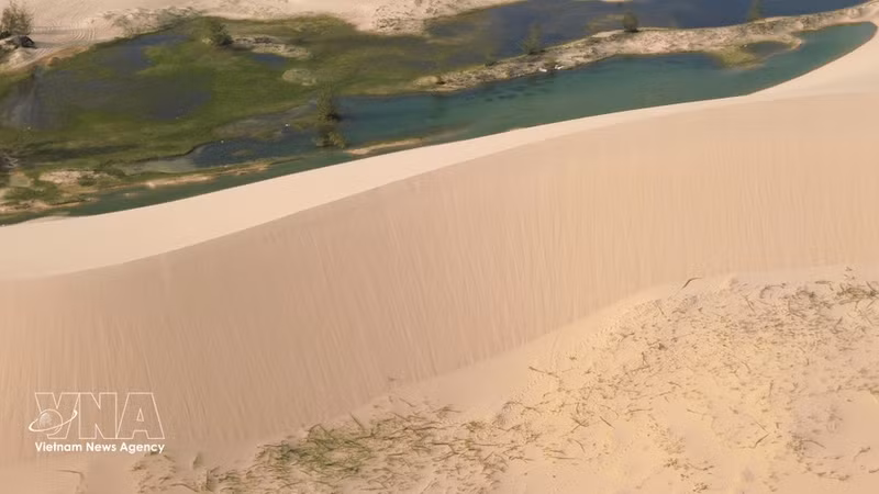 El viento esculpe la arena en onduladas crestas, creando formas naturales de gran belleza. (Foto: VNA)