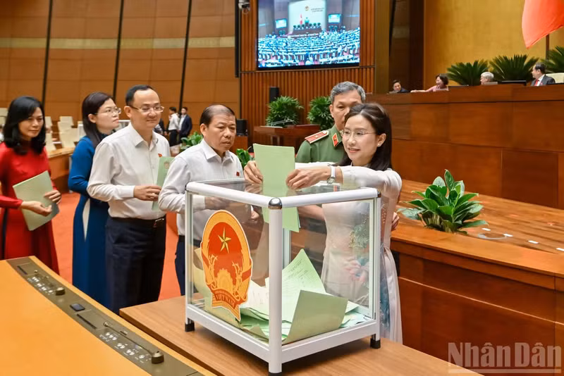 Diputados de la Asamblea Nacional en la votación. (Foto: Thuy Nguyen)