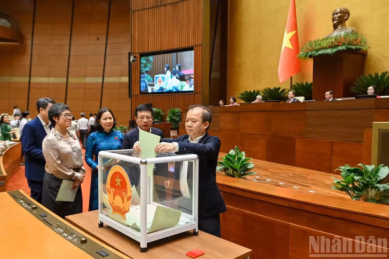 Diputados de la Asamblea Nacional emiten sus votos. (Foto: Thuy Nguyen)